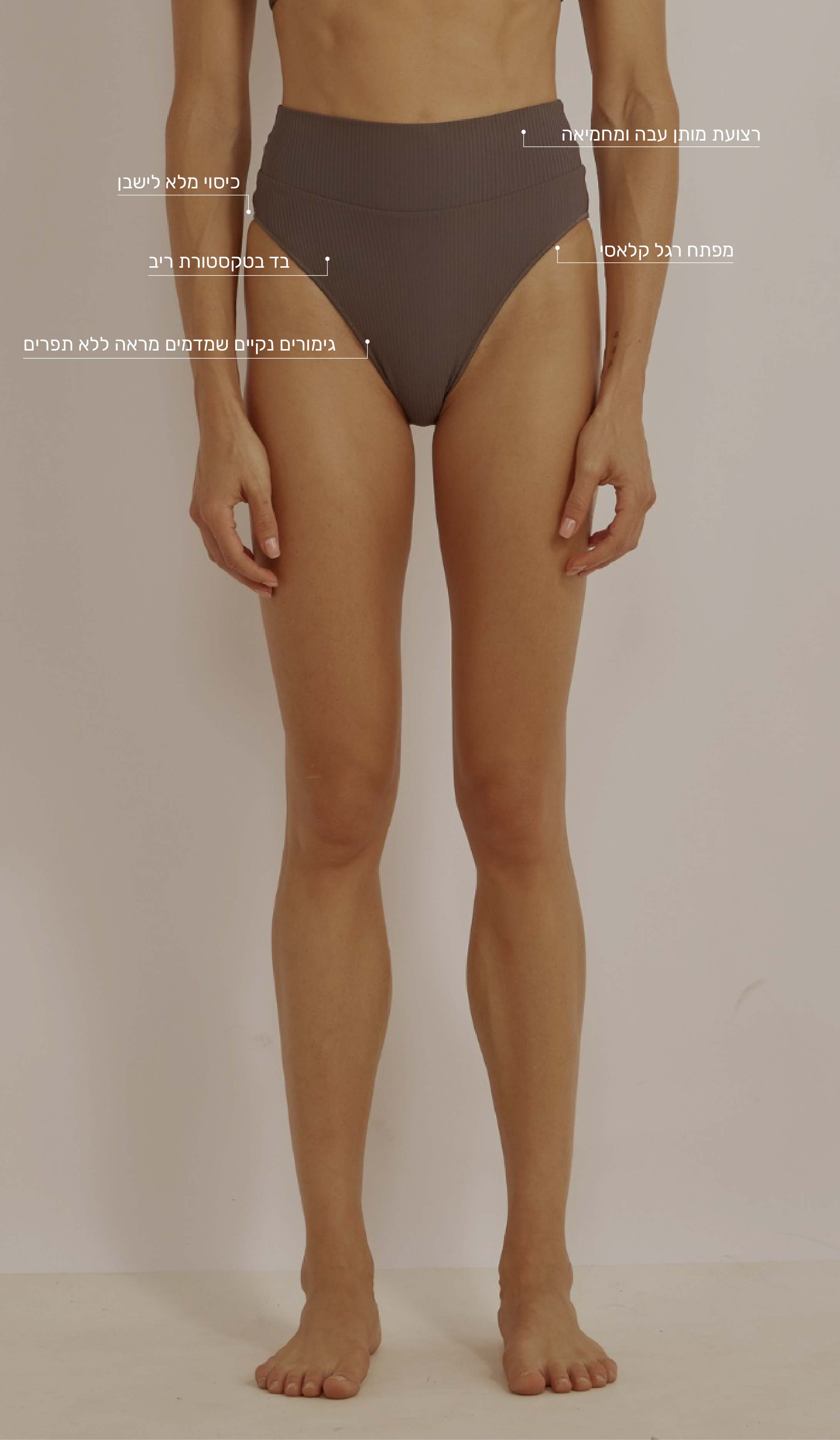 Emily Bikini Bottom - Cocoa Purple Rib
